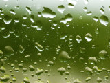 Drops of Water on Glass with a Green Background, Groton, Connecticut Photographic Print by Todd Gipstein