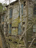 Abandoned House on the Chesapeake Bay Overgrown by Trees and Vines Photographie par David Evans