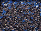Canada Geese Rest on a Nebraska Pond on their Way North to Canada Photographic Print by Momatiuk & Eastcott 