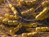 with Yellow Floats, Alaska