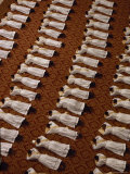 Catholic Clergy Prostrate Themselves During Ordination Ceremonies Photographic Print by James L. Stanfield