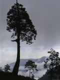 Cloud Covered Mountains in Yushan National Park Photographie par Jodi Cobb