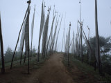 Buddhist Religious Flags Line a Dirt Track Photographic Print by James L. Stanfield