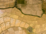 In Flat Flood Plains, Paddy Agriculture Becomes Extremely Productive, Madagascar Photographic Print by Michael Fay