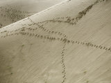 Footprints Criss Cross Giant Sand Dunes in Qinghai Province, China Photographie par David Evans