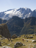 Hikers Rest and Look at the View of the Marmalada in the Dolomites, Italy Photographic Print by Bill Hatcher