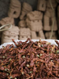 Dried Red Peppers in Front of Traditional Chinese Dog Carvings, Qilian Mountains, China Photographic Print by David Evans
