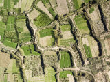 Forage is Grown in the Small Agricultural Belt Surrounding Tassial, Morocco Photographic Print by Michael Fay
