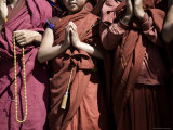 Group of Novice Buddhist Monks Praying, Qinghai, China Photographie par David Evans