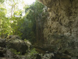 Inside Looking Out of the 65 Foot High Rio Frio Cave Entrance, Belize Photographic Print