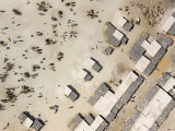 Crowded Camel Market in Nguigmi, Niger Photographic Print by Michael Fay