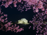 Jefferson Memorial at Night, Seen Through Cherry Blossoms, Washington, D.C. Photographic Print by Kenneth Garrett