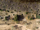 Cultivation is Possible with Wells at the Edge of This Wet Pan, Niger Fotografisk tryk af Michael Fay