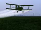 Crop Duster Flies over a Field, California Lámina fotográfica por Kenneth Garrett Crop Duster Flies over a Field, California Lámina fotográfica por Kenneth Garrett