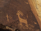 Petroglyph with a Hunter and Big Horn Sheep, Utah Photographic Print by Bill Hatcher