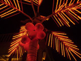 Dahab, Egypt: Orange Coconuts on Christmas Tree Photographic Print by Brimberg & Coulson 