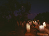 Graves Mark the Deaths of Japanese Peal Divers, Most Died from Bends, Australia Valokuvavedos tekijänä David Doubilet