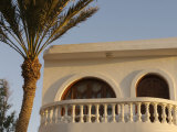 Dahab, Egypt, Middle East: Palm Tree near Balcony Photographie par Brimberg & Coulson 