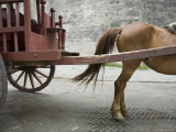 Horse Pulling a Cart in Jingzhou, China Photographie par David Evans