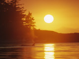 Distant Killer Whale is Seen in the Light of a Setting Sun Photographic Print by Bill Curtsinger