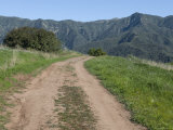 Dirt Road Leading to the Santa Ynez Mountains, California Photographic Print by Rich Reid