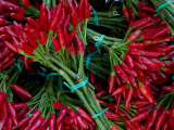 Red Chile Peppers in Bunches at the Rialto Market in Venice, Italy Photographic Print by Todd Gipstein
