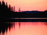 Dramatic Picture of a Forest-Edged Lake under a Pinkish-Orange Sky Photographie par Mattias Klum