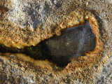 Hot Spring Source Bubbling Out of the Ground, California Photographic Print by James Forte