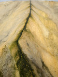 Hot Spring Source, California Photographic Print by James Forte