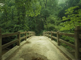 Concrete Footbridge, Rock Creek Park, Washington, D.C. Photographie par Peter Krogh