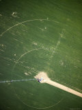 Modern Pivot Farming Along the Okavango River, Namibia Photographic Print by Michael Fay