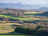 January View of Green Fields, Oaks, Houses and Hills in Provence, France Photographic Print by Stephen Sharnoff