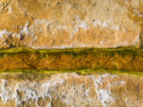 Hot Spring Water Traveling Through Rock Channel, California Photographic Print by James Forte