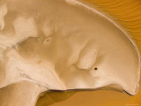 'Sand Dolphin' Delta at the Mouth of the Tana River, Kenyan Coast Photographic Print by Michael Fay