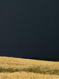 Field of Grain is Lit by the Sun against an Almost-Black Storm Sky, France Photographic Print by Stephen Sharnoff