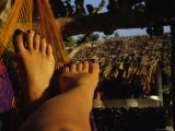 Relaxing in a Hammock Photographic Print by Stacy Gold