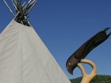 Norway, Arran, Bird Carving at Cultural Centre of Arran Photographie par Brimberg & Coulson 