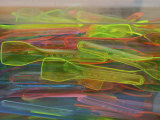 Plastic Sppons in Display in Gelateria, Florence, Italy Photographic Print by Brimberg & Coulson 
