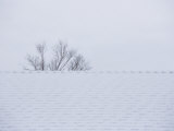 Rooftop and Tree in the Snow Photographic Print by John Burcham