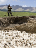 Nomadic Shepherd Looks over his Flock of Sheep, Qinghai, China Photographie par David Evans