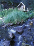 Sadie Cove Wilderness Lodge, with Flowing Creek and Sauna Cabin, Alaska Photographic Print by Rich Reid