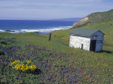 Old Powerhouse Cabin and Coastline near Point Conception, California Photographic Print by Rich Reid