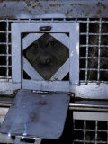 Orangutan Peering Through a Milk Feeder Door Looking for Food, Melbourne Zoo, Australia Lámina fotográfica por Jason Edwards Orangutan Peering Through a Milk Feeder Door Looking for Food, Melbourne Zoo, Australia Lámina fotográfica por Jason Edwards
