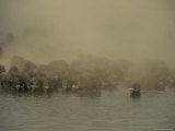 Parched Cape Buffalo Herd Drinks at a Waterhole During a Dust Storm Photographic Print by Jason Edwards