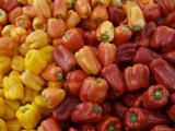 Red Bell Peppers on Sale, Marin, California Photographic Print