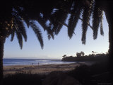 Ledbetter Beach Framed by Two Palm Trees, California Photographic Print by Rich Reid