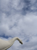 Model Dinosaurs Photographic Print by John Burcham