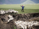 Nomadic Shepherd with Her Flock of Sheep, Qinghai, China Photographie par David Evans