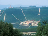 Popular Wine Region in the Piemonte, Italy Photographic Print by Michael S. Lewis
