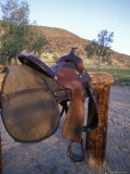 Saddle Post at Vernon Whitaker Horse Camp, California Photographic Print by Rich Reid